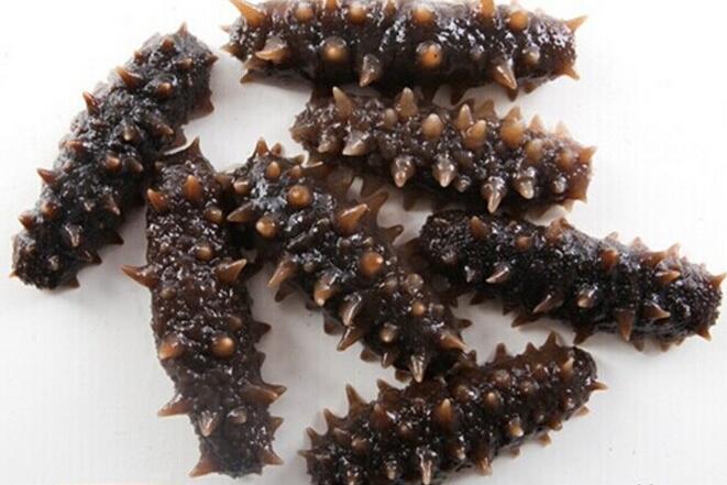 海参的功效,痛风患者能吃海参吗