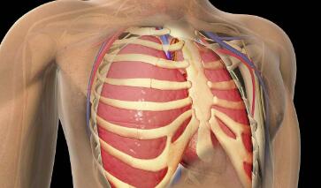 ֣ʪҽԺʪԹؽ׵Ĳ֢Щأ