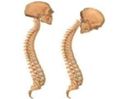 ֣ǿֱԼ￴?ôѡҽԺ!