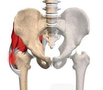 河南股骨头坏死医院怎么样.jpg 河南股骨头坏死医院怎么样