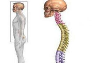 怎么避免强直病情恶化呢?郑州强直医院哪家好? 怎么避免强直病情恶化呢?郑州强直医院哪家好?