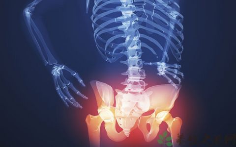 腰部力量怎样训练 腰部力量怎样训练