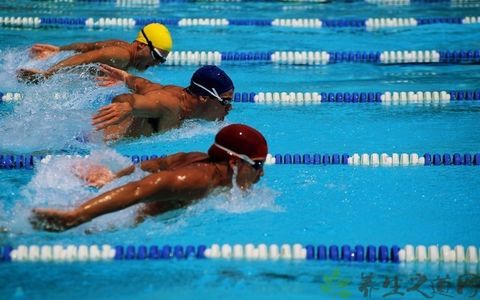 春天游泳好不好_春天游泳应该注意什么